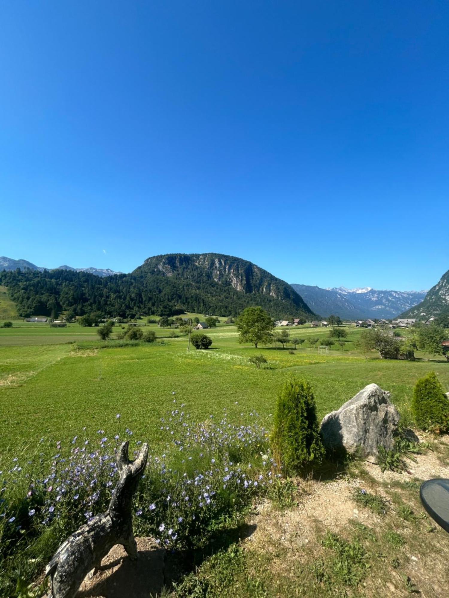 Apartments Ema Bohinj Εξωτερικό φωτογραφία